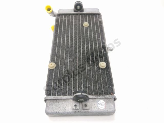 Radiateur eau occasion YAMAHA YP 125 X-MAX 2013