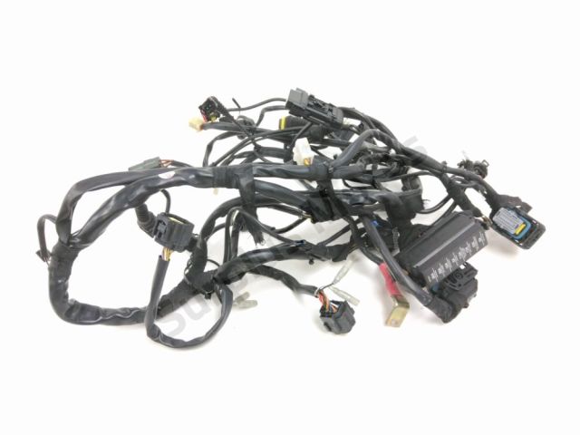 Faisceau electrique occasion DUCATI MONSTER 620 IE 2005