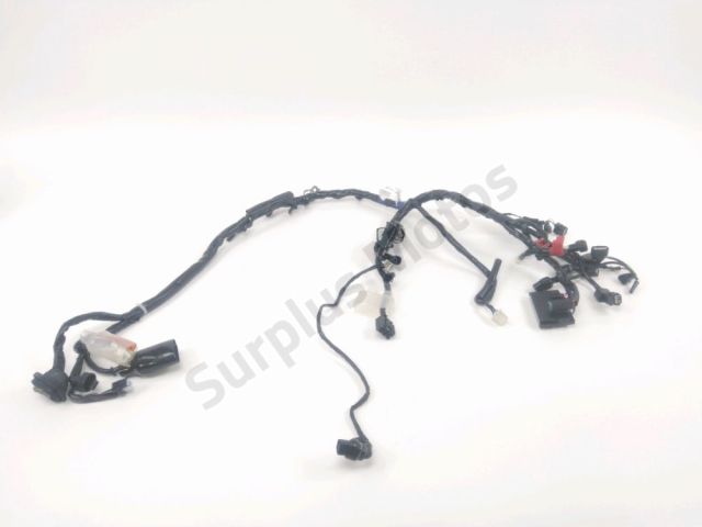 Faisceau electrique occasion HONDA CBF 125 2024