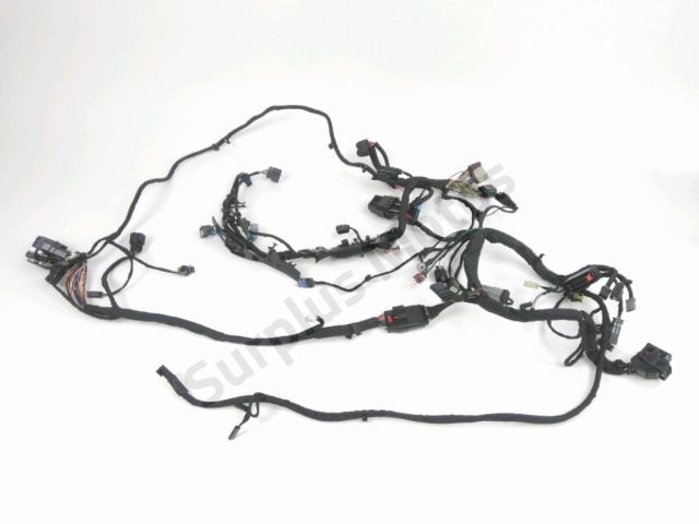 Faisceau electrique occasion HARLEY DAVIDSON SOFTAIL STREET BOB 2019