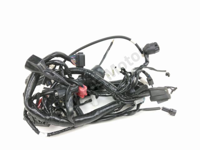 Faisceau electrique occasion YAMAHA XSR 125 2022