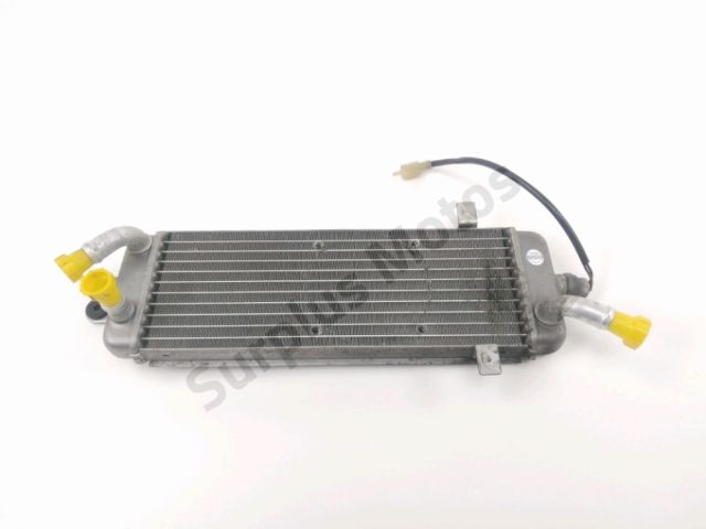 Radiateur eau occasion SUZUKI BURGMAN 125 2006