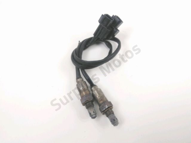 Sonde lambda occasion ROYAL ENFIELD INTERCEPTOR 2021