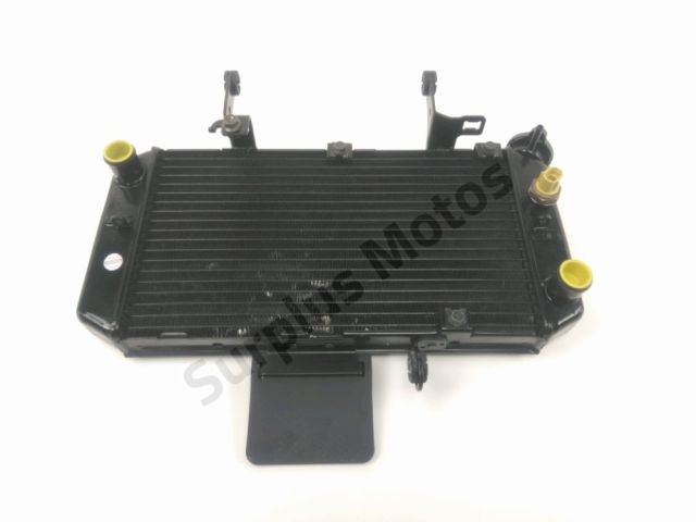 Radiateur eau occasion SUZUKI DL 650 V-STROM 2004