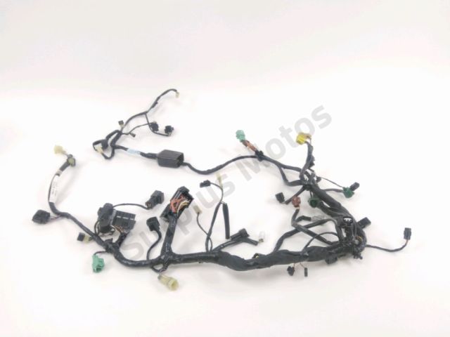 Faisceau electrique occasion SUZUKI DL 650 V-STROM 2004