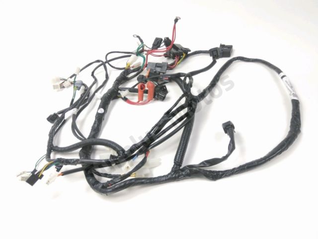 Faisceau electrique occasion PEUGEOT SPEEDFIGHT 4 SF4 2025