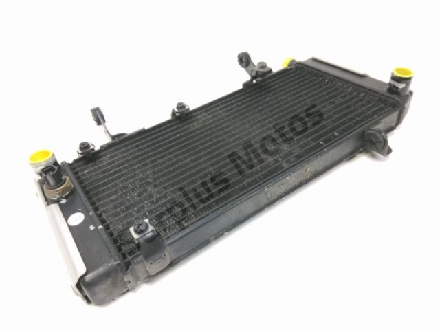 Radiateur eau occasion SUZUKI SVS 2006
