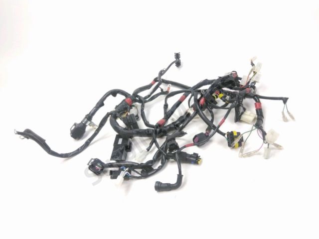 Faisceau electrique occasion MALAGUTI MONTE PRO 2021