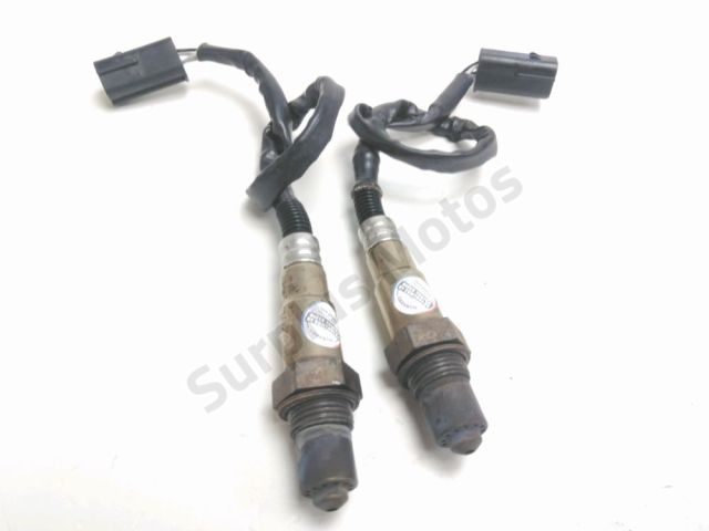 Sonde lambda occasion CF MOTO NK SPORT 2024